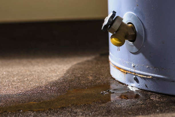 Best Water damage restoration near me  in Carthage, IL