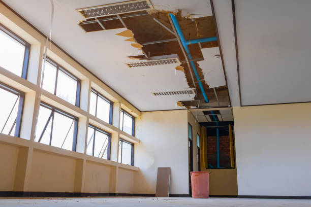 Best Mold removal after water damage  in Carthage, IL