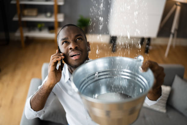 Best Flood damage cleanup  in Carthage, IL