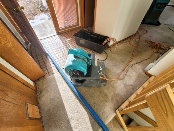 Best 24/7 water damage repair  in Carthage, IL