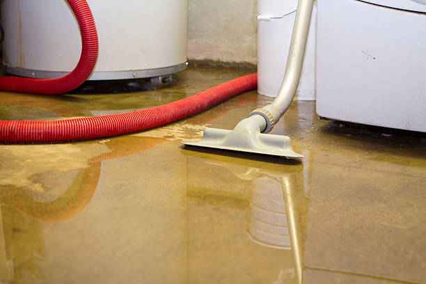 Reliable Carthage, IL Water damage restoration Solutions