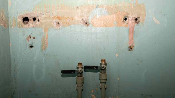 Best 24/7 water damage repair  in Carthage, IL