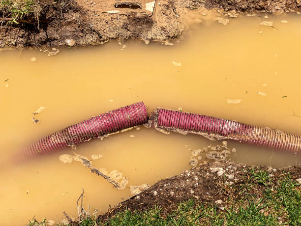 Best Flood restoration services  in Carthage, IL